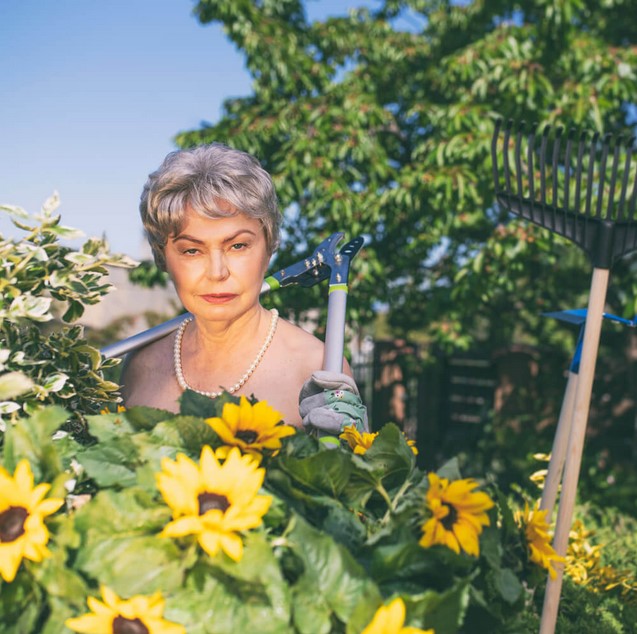 Lulka_gdynia_plebiscyt