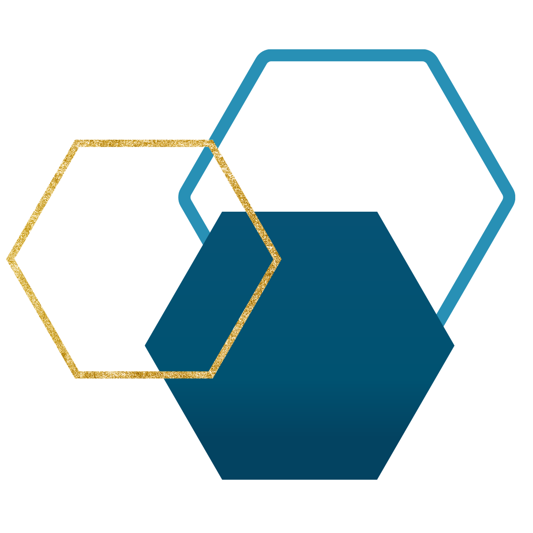 Logo_plebiscyt