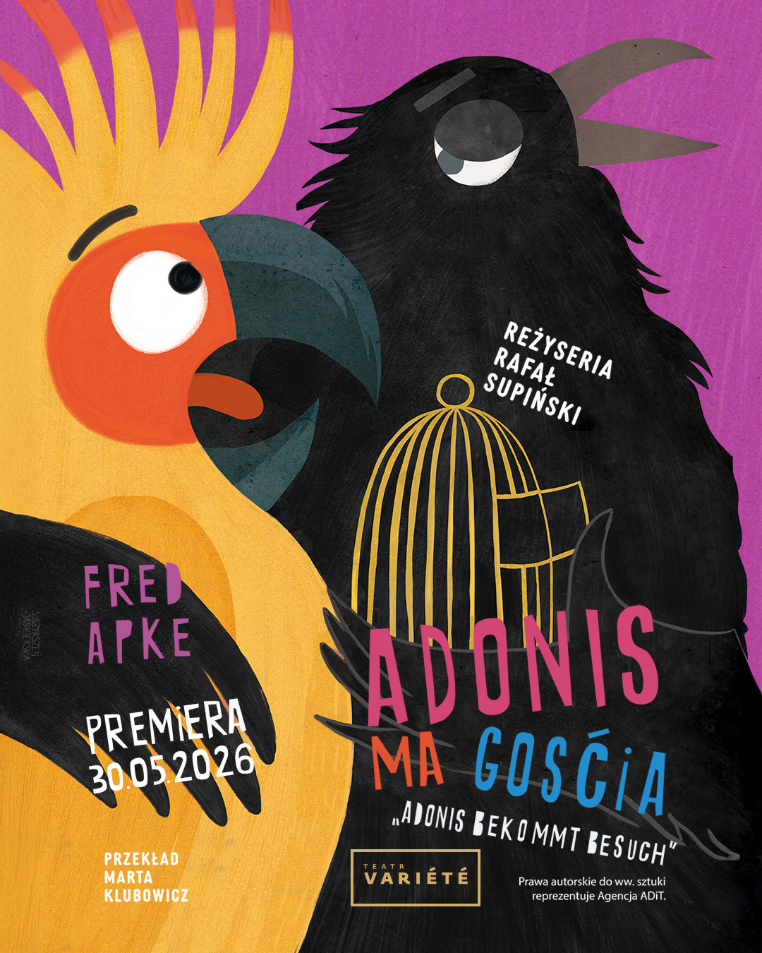 Adonis ma gościa_poster